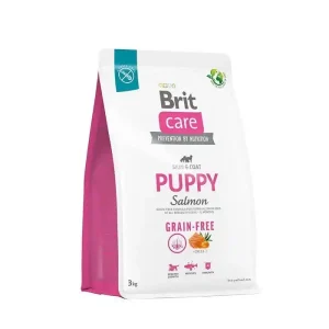 BC puppy 12kg