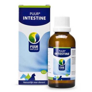 PUUR Intestine / Darm 50ml